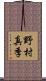 野村真季 Scroll