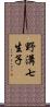 野溝七生子 Scroll