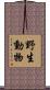 野生動物 Scroll