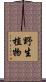 野生植物 Scroll