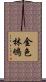 金色林鴝 Scroll