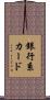 銀行系カード Scroll