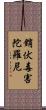 銷伏毒害陀羅尼 Scroll