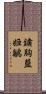 鏽胸藍姬鶲 Scroll