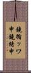 鐃循ッワ申鐃緒申 Scroll