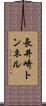 長井崎トンネル Scroll
