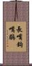 長嘴鉤嘴鶥 Scroll