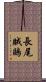 長尾賊鷗 Scroll