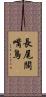 長尾闊嘴鳥 Scroll