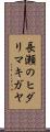 長瀬のヒダリマキガヤ Scroll