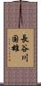 長谷川国雄 Scroll
