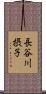 長谷川摂子 Scroll