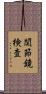 関節鏡検査 Scroll