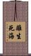 離生死海 Scroll