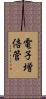 電子増倍管 Scroll