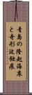 青島の隆起海床と奇形波蝕痕 Scroll