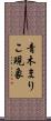 青木まりこ現象 Scroll