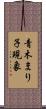 青木まり子現象 Scroll