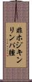 非ホジキンリンパ腫 Scroll