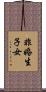 非婚生子女 Scroll