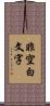 非空白文字 Scroll