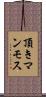 頂きマンモス Scroll
