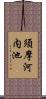 須摩河内池 Scroll