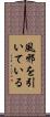 風邪を引いている Scroll