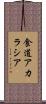 食道アカラシア Scroll