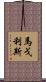 Margolis Scroll
