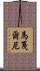 馬戛爾尼 Scroll
