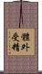 體外受精 Scroll