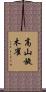 高山旋木雀 Scroll