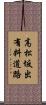 高松坂出有料道路 Scroll