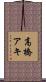 高橋アキ Scroll