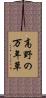 高野の万年草 Scroll