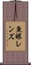 魚眼レンズ Scroll