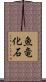 魚竜化石 Scroll