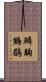鱗胸鷦鶥 Scroll