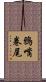 鴉嘴卷尾 Scroll