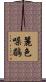 麗色噪鶥 Scroll