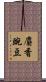 麝香豌豆 Scroll