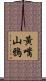 黃嘴山鴉 Scroll