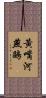 黃嘴河燕鷗 Scroll