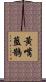 黃嘴藍鵲 Scroll