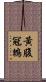 黃腹冠鵯 Scroll