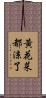 黃花菜都涼了 Scroll
