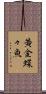 黄金蝶々魚 Scroll