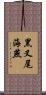 黑叉尾海燕 Scroll