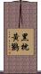 黑枕黃鸝 Scroll